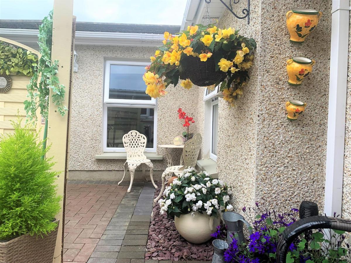 Naas 2 Bedroom Back Garden Escape エクステリア 写真